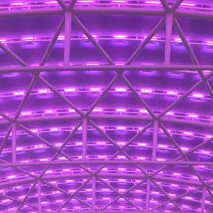 Meet your Posher, Aaliyah